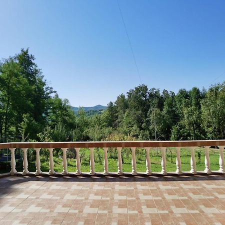 Отель Casa Dobrin Арефу Экстерьер фото