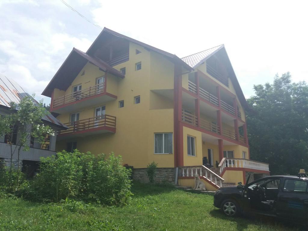 Отель Casa Dobrin Арефу Экстерьер фото